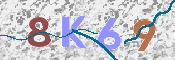 Kontrolní text