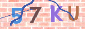 Kontrolní text