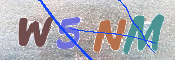 Kontrolní text