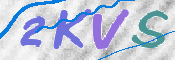 Kontrolní text
