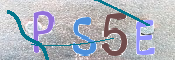 Kontrolní text