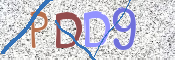 Kontrolní text