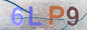 Kontrolní text
