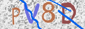 Kontrolní text