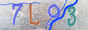 Kontrolní text