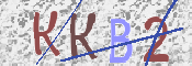 Kontrolní text