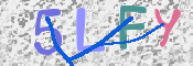 Kontrolní text