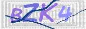 Kontrolní text