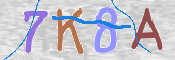 Kontrolní text