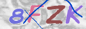 Kontrolní text