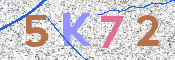 Kontrolní text