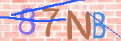Kontrolní text