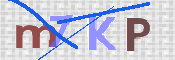 Kontrolní text