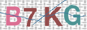 Kontrolní text