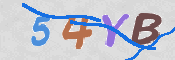 Kontrolní text