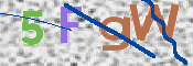 Kontrolní text