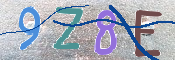Kontrolní text