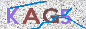 Kontrolní text