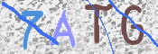 Kontrolní text