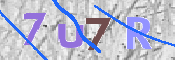 Kontrolní text