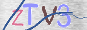 Kontrolní text