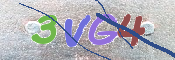 Kontrolní text