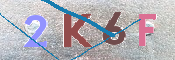 Kontrolní text