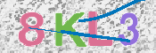 Kontrolní text