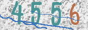 Kontrolní text