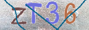 Kontrolní text