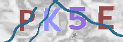 Kontrolní text