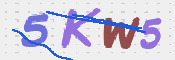 Kontrolní text