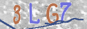 Kontrolní text