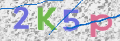 Kontrolní text