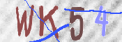 Kontrolní text