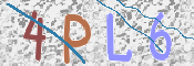 Kontrolní text