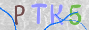 Kontrolní text