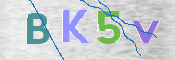 Kontrolní text