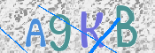 Kontrolní text