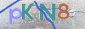 Kontrolní text