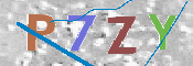 Kontrolní text