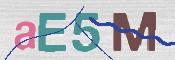 Kontrolní text