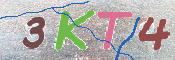 Kontrolní text