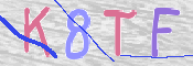 Kontrolní text