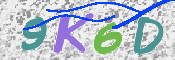 Kontrolní text