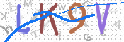 Kontrolní text