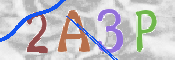 Kontrolní text