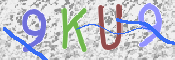 Kontrolní text