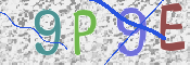 Kontrolní text