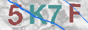 Kontrolní text